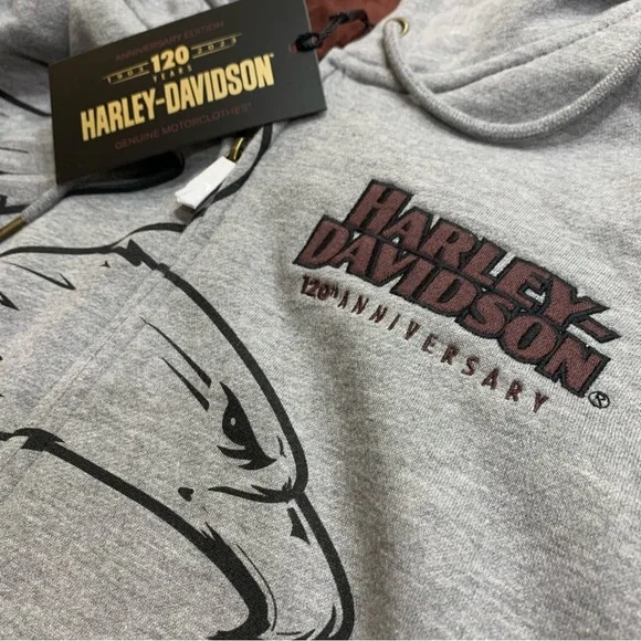 Harley-Davidson Men's 120th Anniversary Zip-Up Hoodie - Heather Gray 96521-23VM - Picture 8 of 11